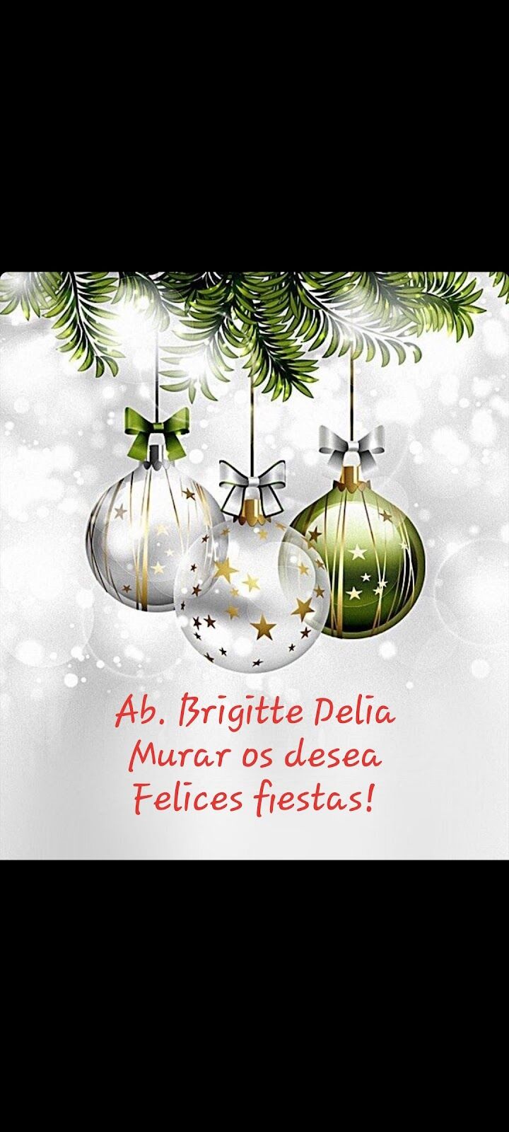 Imagen de Brigitte Murar Abogados