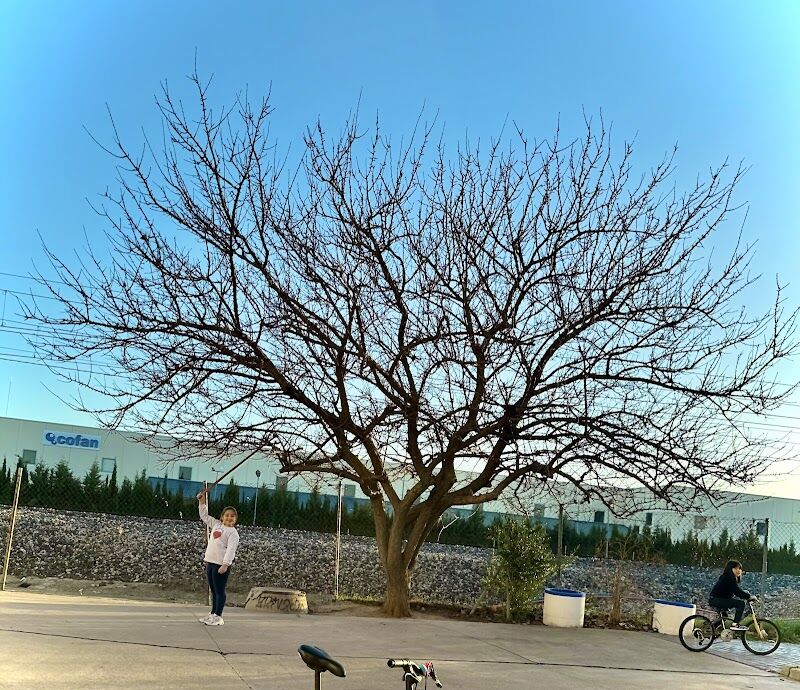 Imagen representativa de la localización