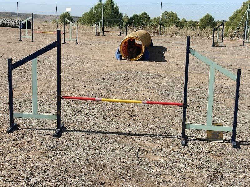 Imagen de negocio en Adiestramiento de mascotas en Cabañas de Yepes