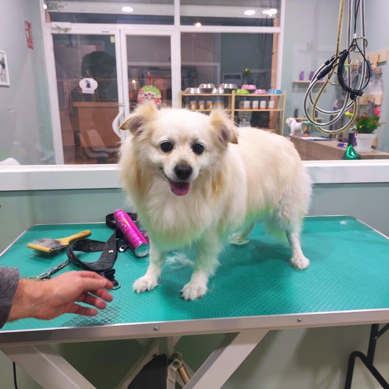 Imagen de negocio en Baño y spa para mascotas en Provincia de Toledo