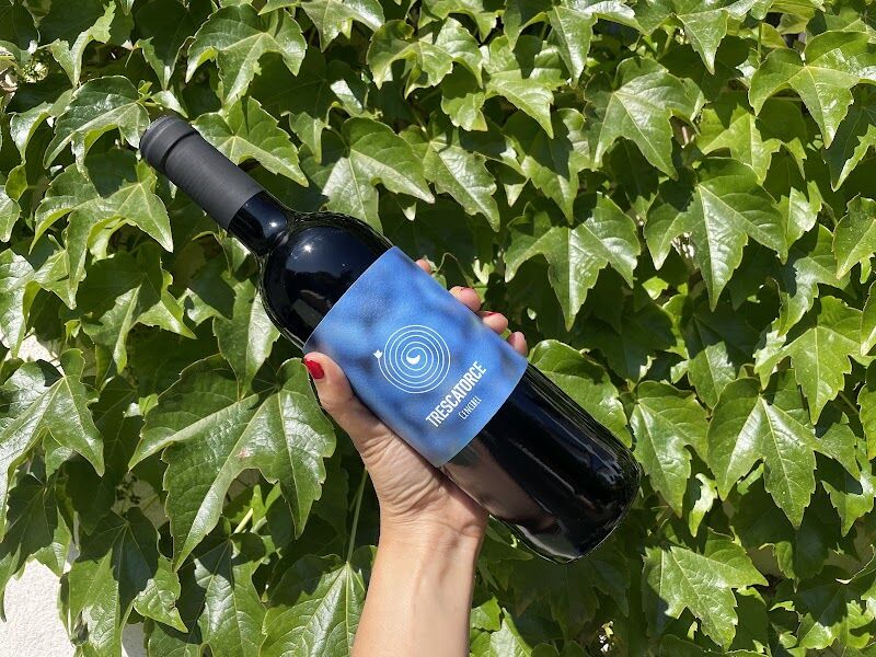 Imagen de Bodega Amadís de Yébenes