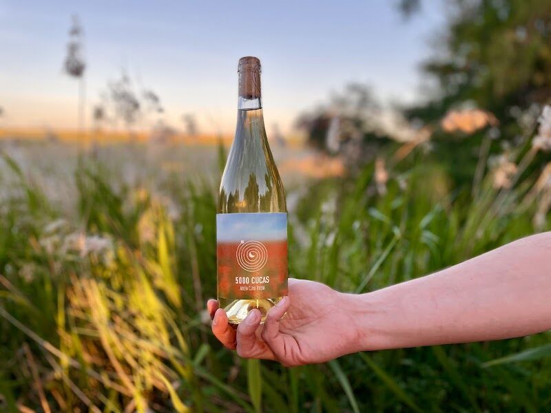 Imagen de Bodega Amadís de Yébenes