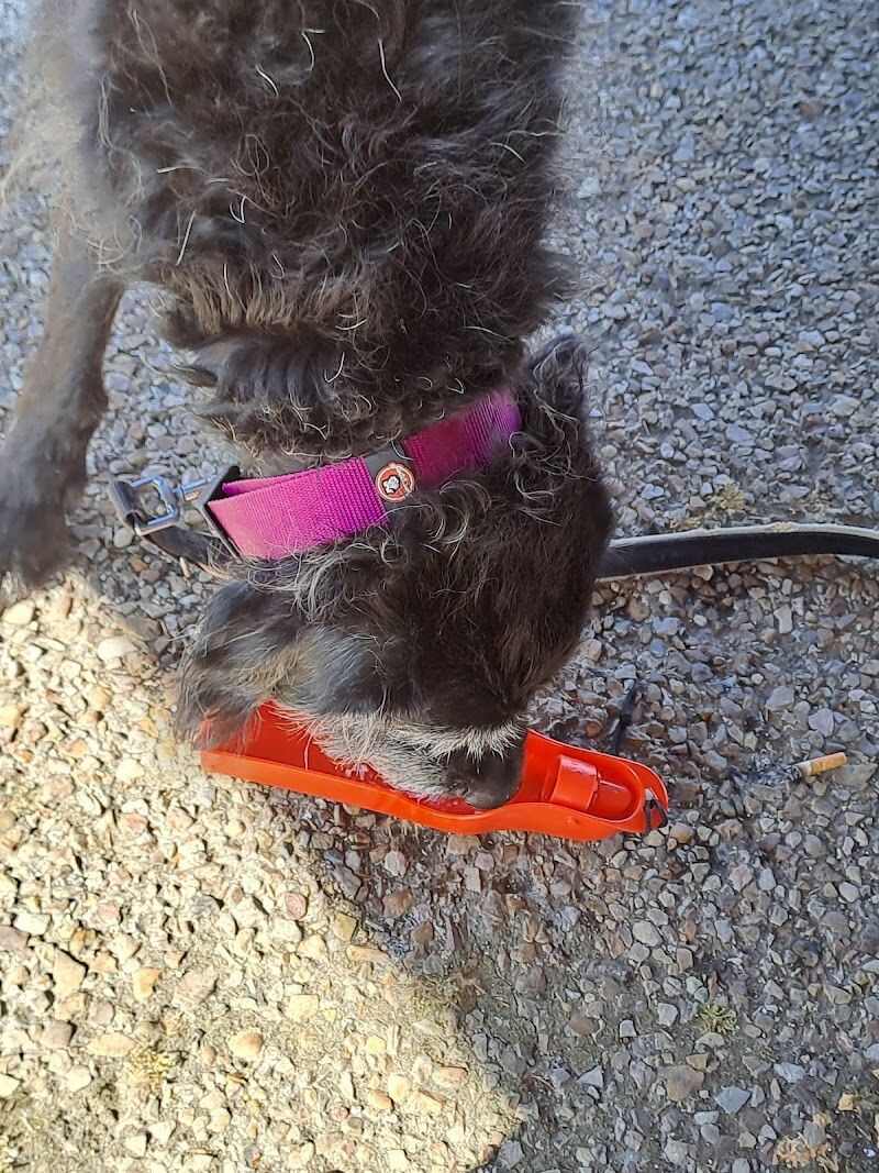 Imagen de Clínica Veterinaria Marañón