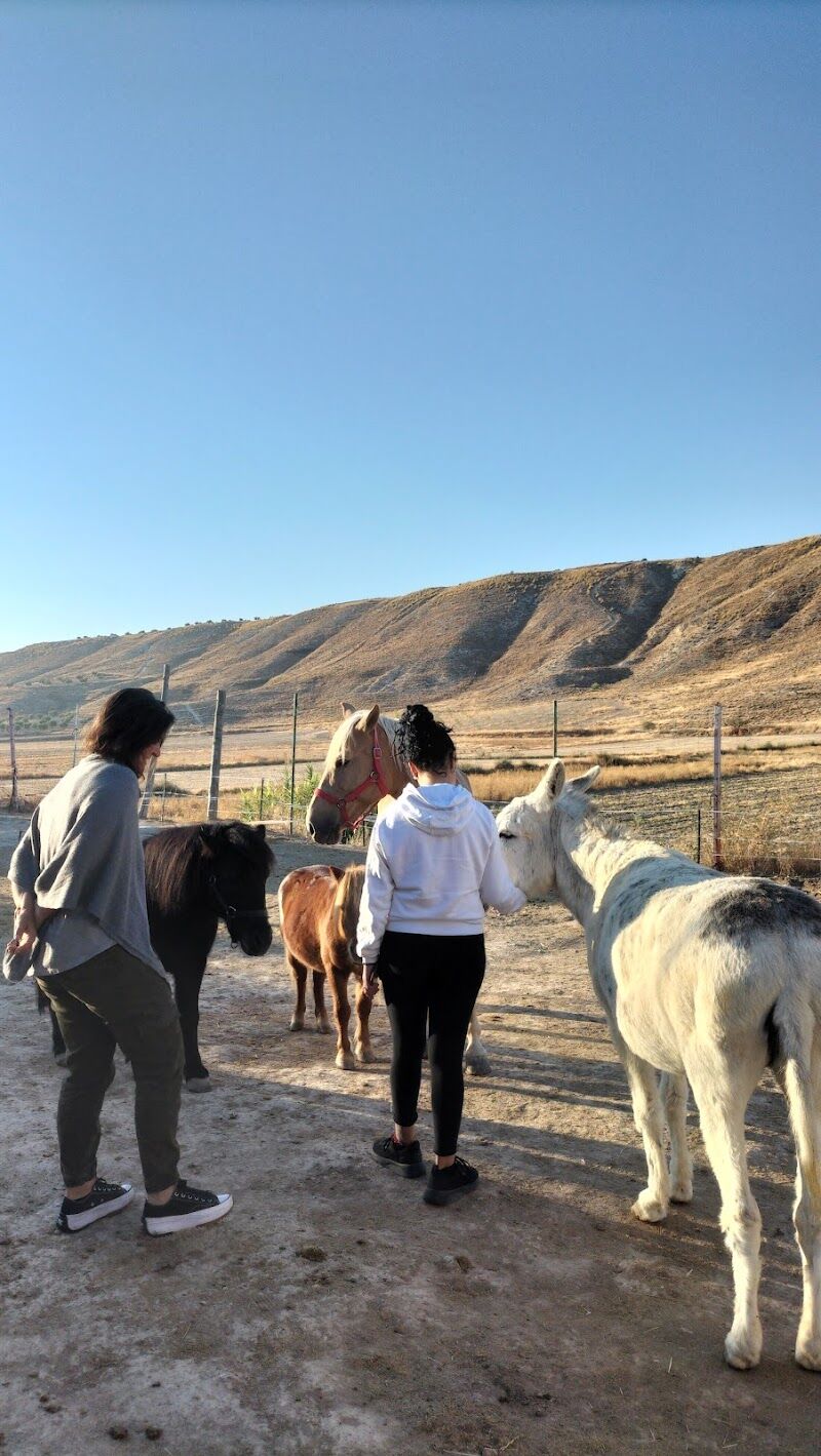 Imagen de El Rincón del Valle. Centro de Equitación