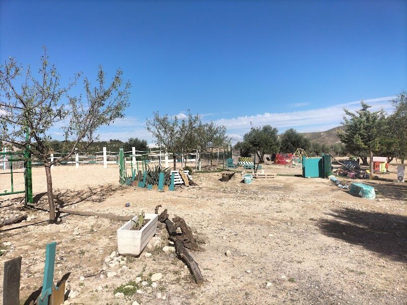 Imagen de El Rincón del Valle. Centro de Equitación