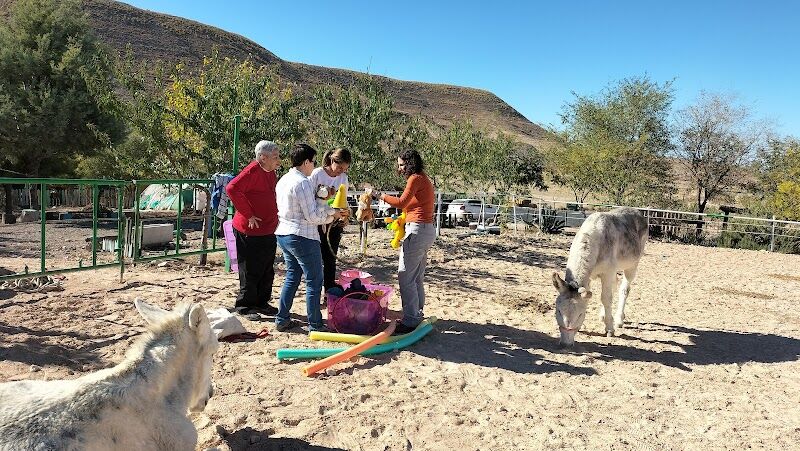 Imagen de El Rincón del Valle. Centro de Equitación