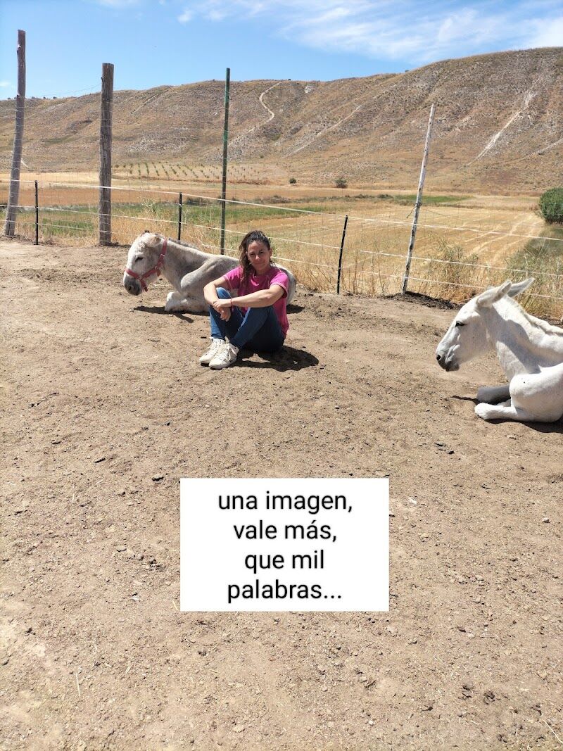 Imagen de El Rincón del Valle. Centro de Equitación