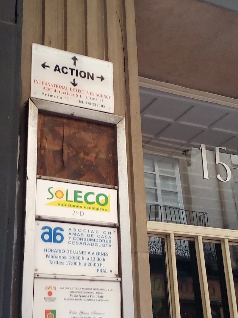 Imagen de Action Detectives Privados