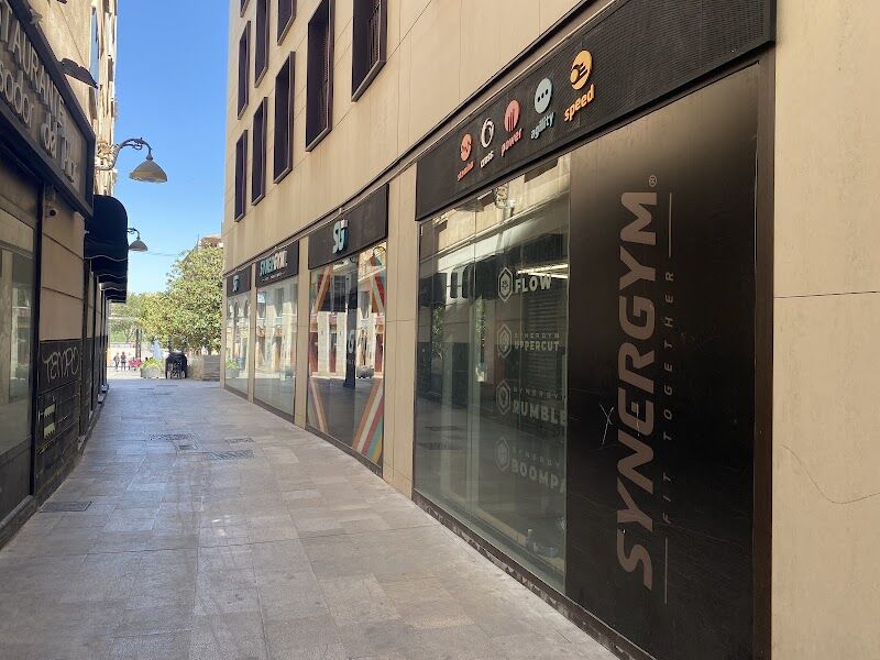 Imagen de Synergym Zaragoza el Pilar