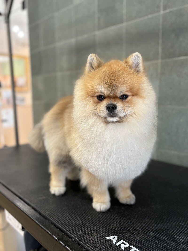 Imagen de Casa Mascotas, Aranjuez