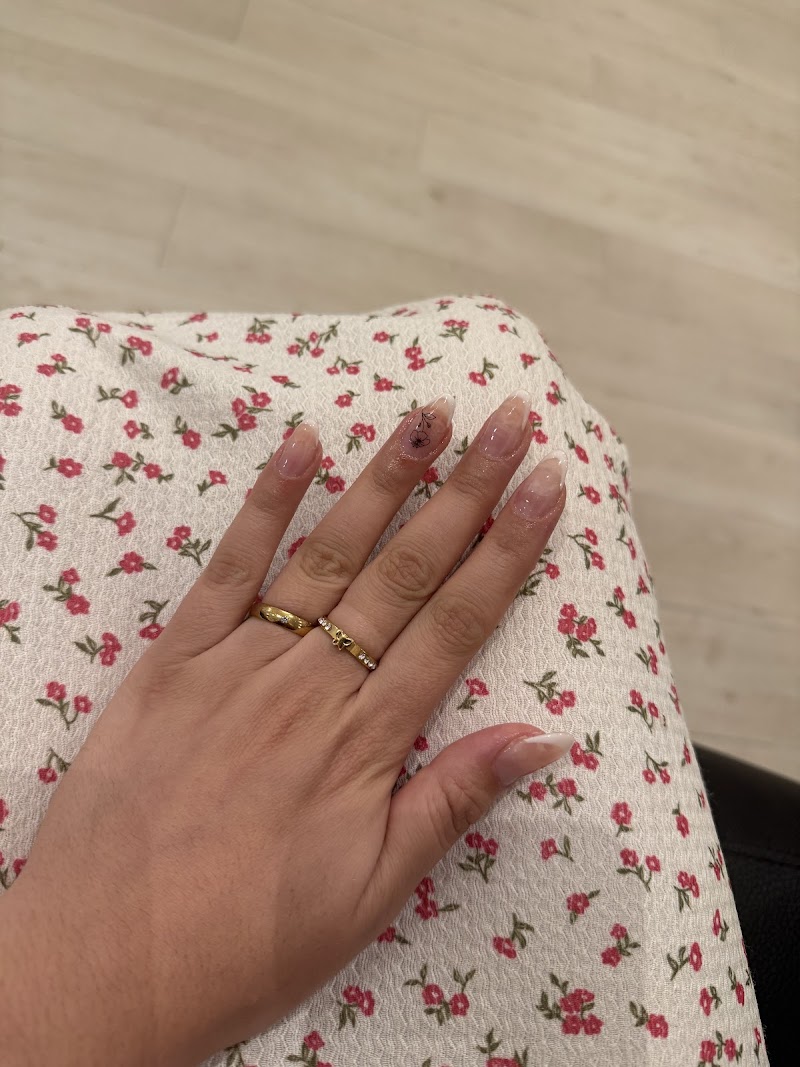 Imagen de Dailsstudio