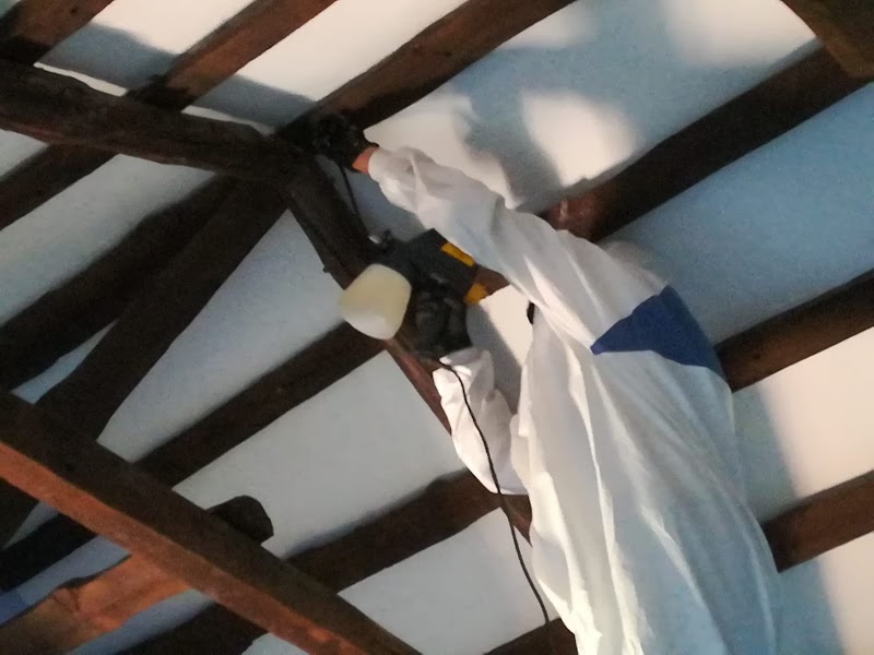 Imagen de Mancha Salud – Control de Plagas