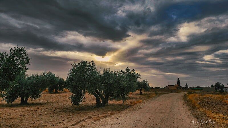 Imagen de negocio en El Viso de San Juan (Toledo)