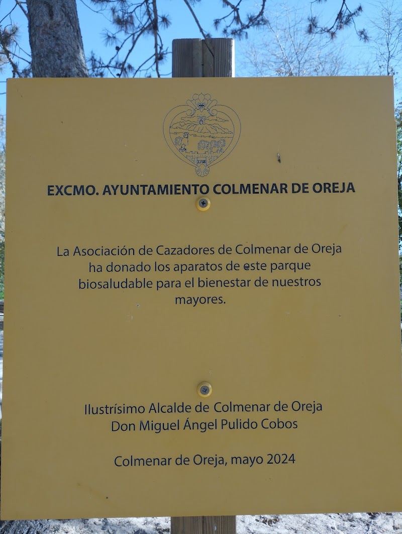 Imagen de Gimnasio Publico