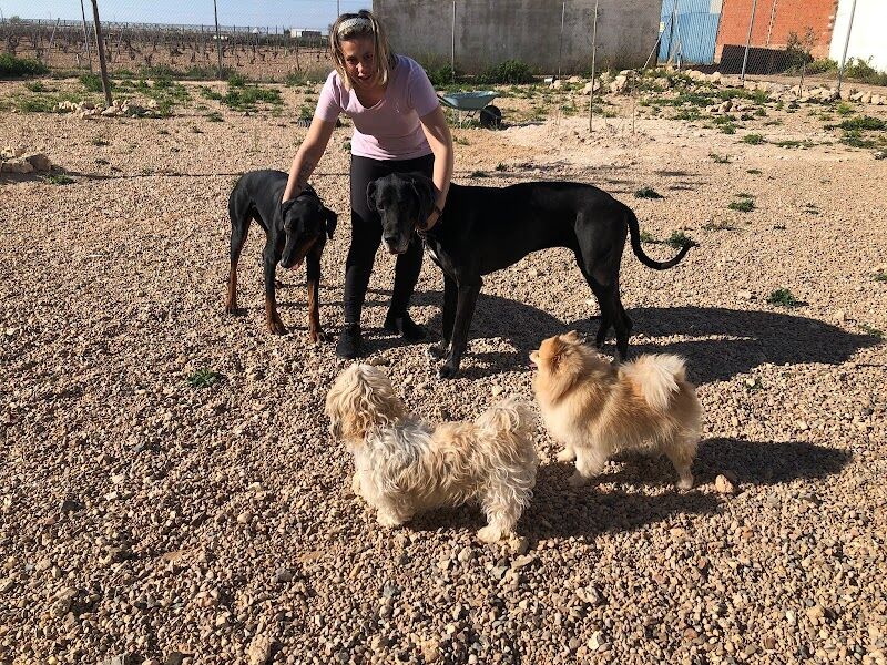 Imagen de Hotel de Mascotas Lily