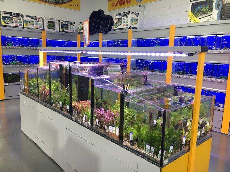 Imagen de Burbujin Mascotas Illescas