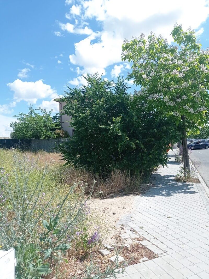 Imagen de negocio en Jardinería en Ciempozuelos