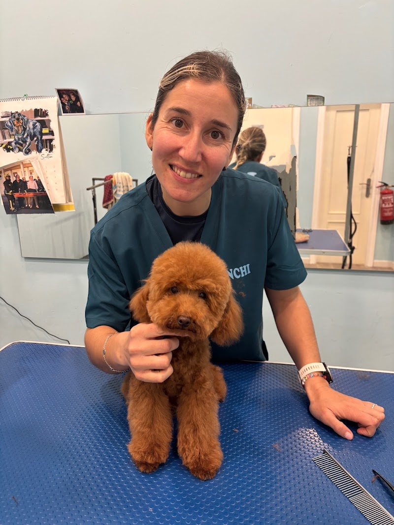 Imagen de Peluquería Canina Lavadogs