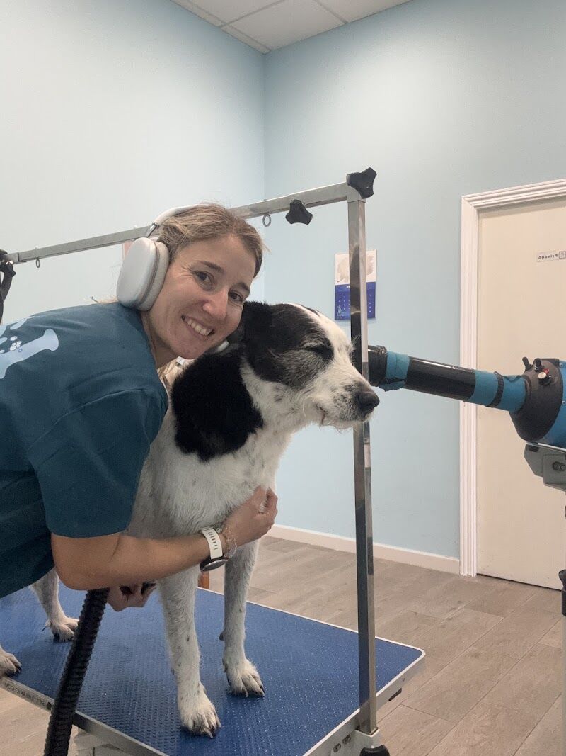 Imagen de Peluquería Canina Lavadogs