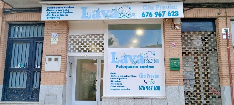 Imagen de Peluquería Canina Lavadogs