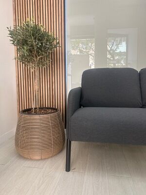 Imagen de Neuropsy Clinic Toledo