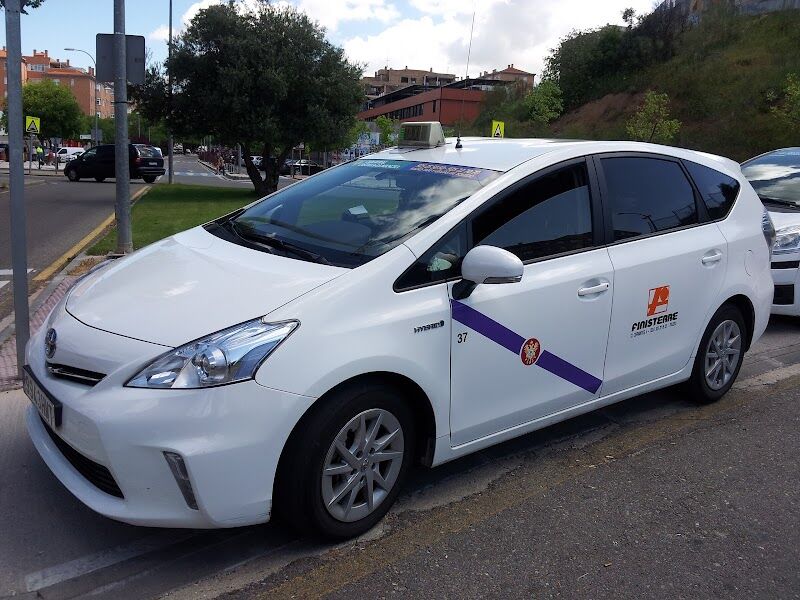 Imagen de negocio en Taxi para mascotas en Toledo