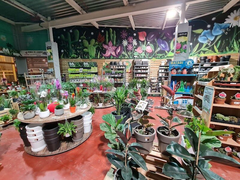 Imagen de Flower Lovers