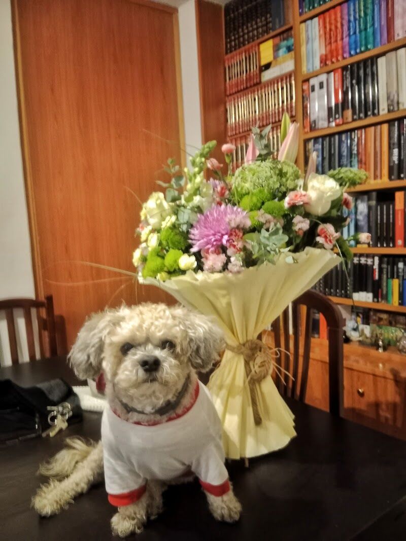 Imagen de negocio en Floristería en Cabañas de Yepes