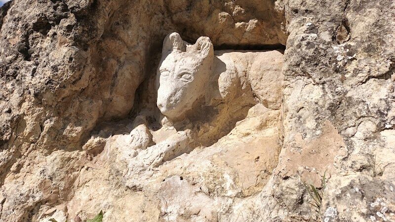 Imagen de negocio en Paisajismo en Villares del Saz