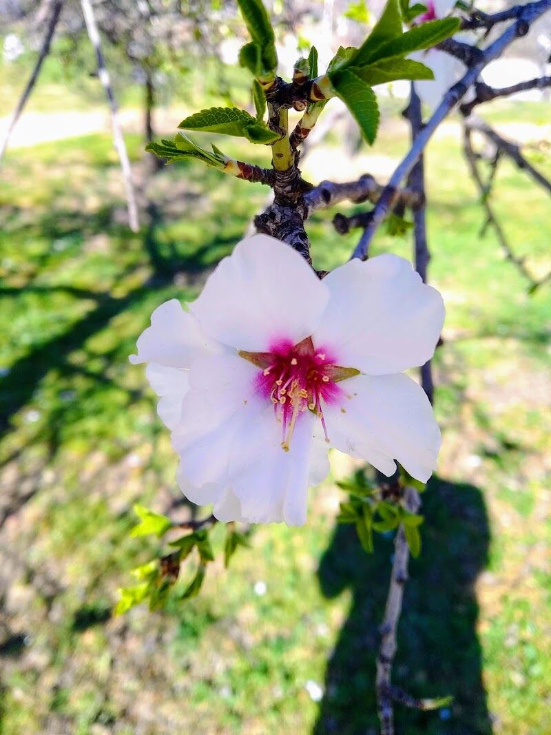 Imagen representativa de la localización
