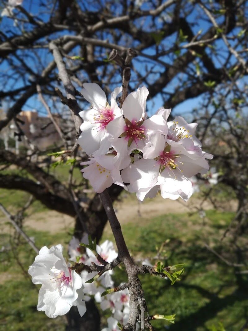Imagen representativa de la localización