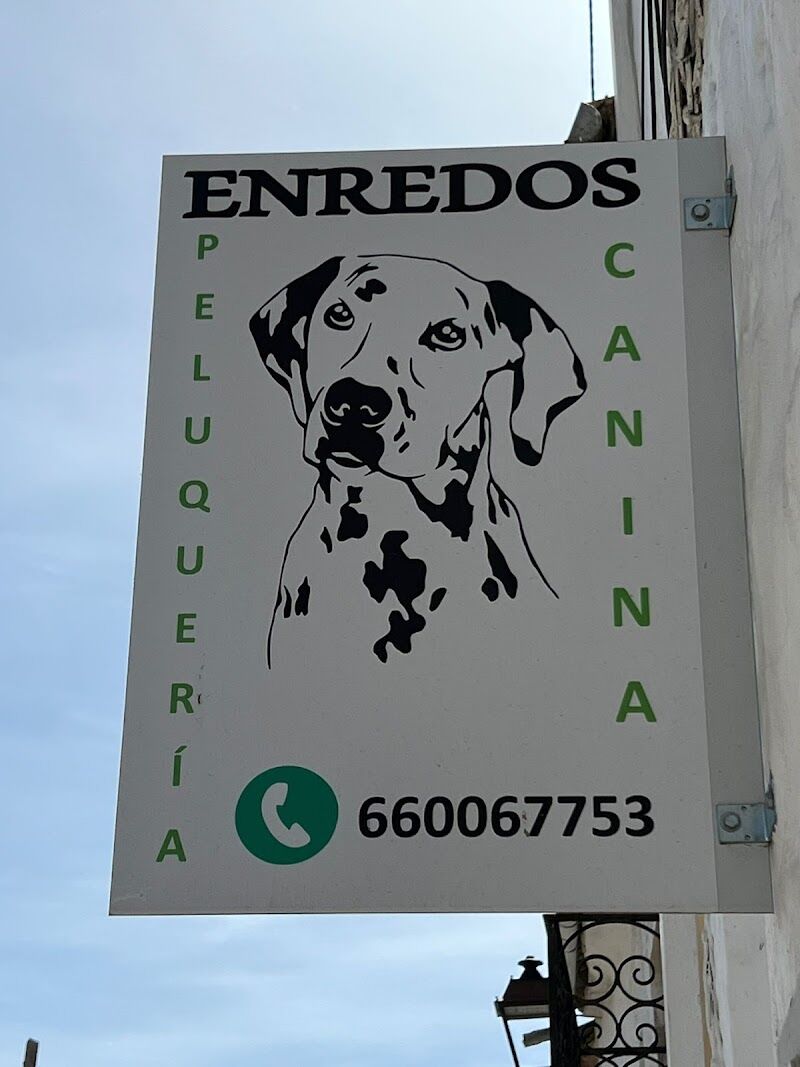 Imagen de negocio en Peluquería canina y felina en Borox