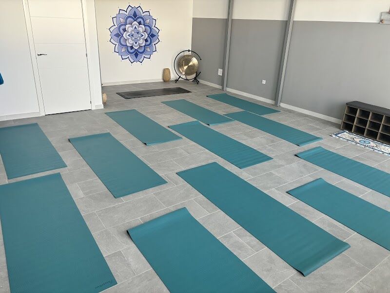 Imagen de Shala Sangha. Yoga Aéreo