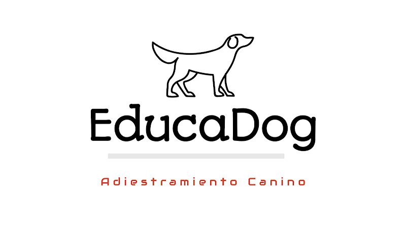 Imagen de negocio en Adiestramiento de mascotas en Provincia de Cuenca