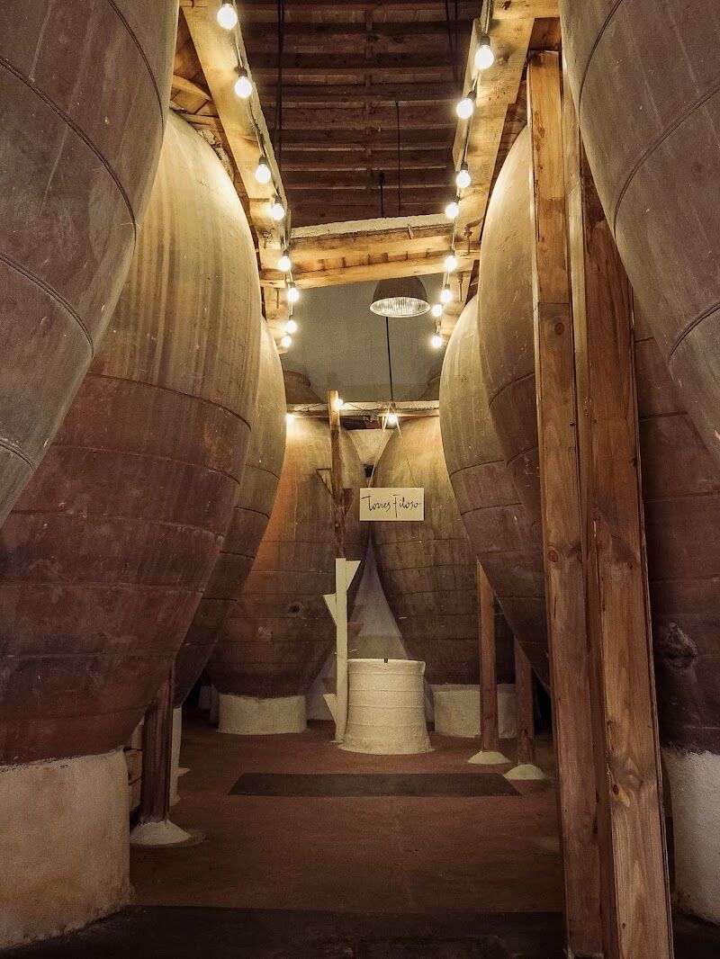 Imagen de Torres Filoso – Bodega Familiar Ecológica de Tinajas en Villarrobledo