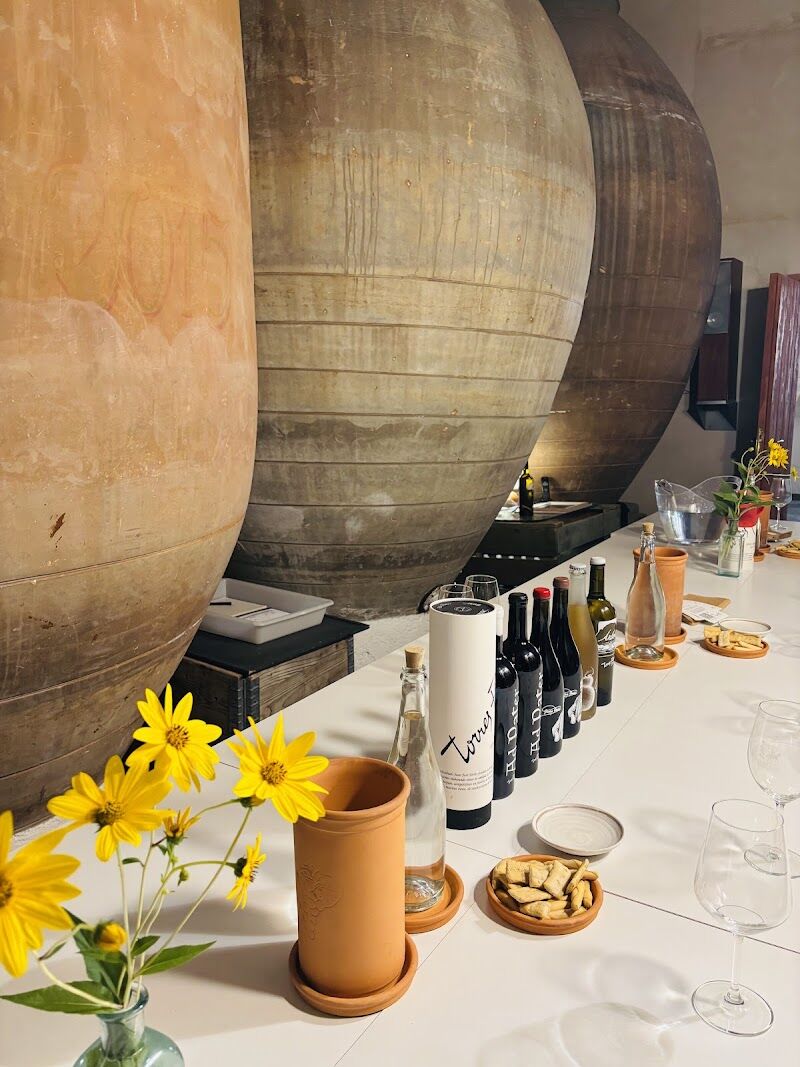 Imagen de Torres Filoso – Bodega Familiar Ecológica de Tinajas en Villarrobledo