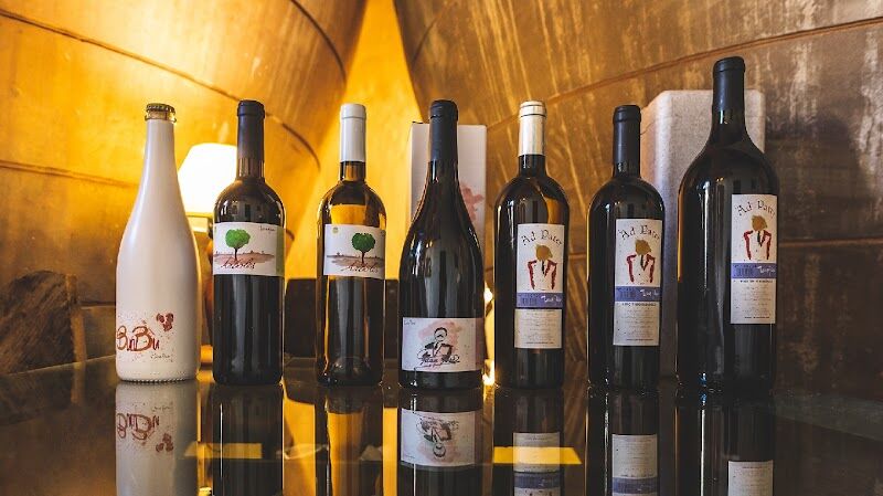 Imagen de Torres Filoso – Bodega Familiar Ecológica de Tinajas en Villarrobledo