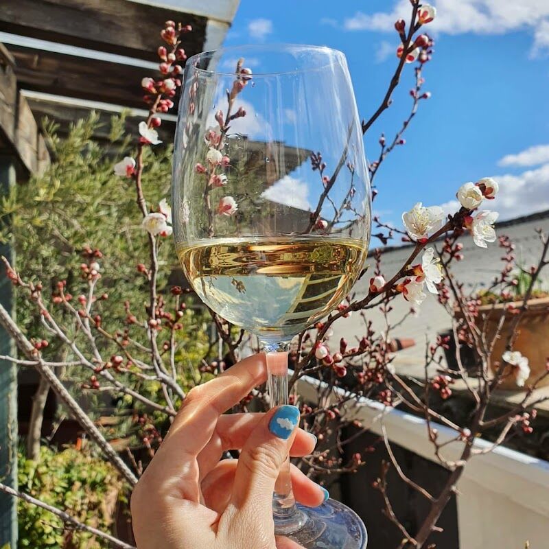 Imagen de Torres Filoso – Bodega Familiar Ecológica de Tinajas en Villarrobledo