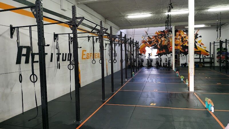 Imagen de Original Box Wod,s.l.