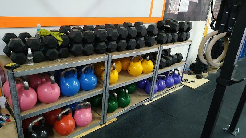 Imagen de Original Box Wod,s.l.