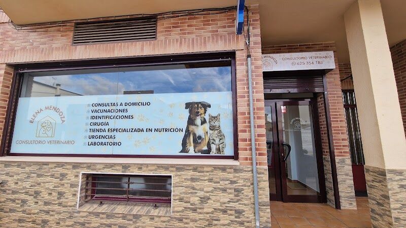 Imagen de negocio en Veterinaria en Villafranca de los Caballeros