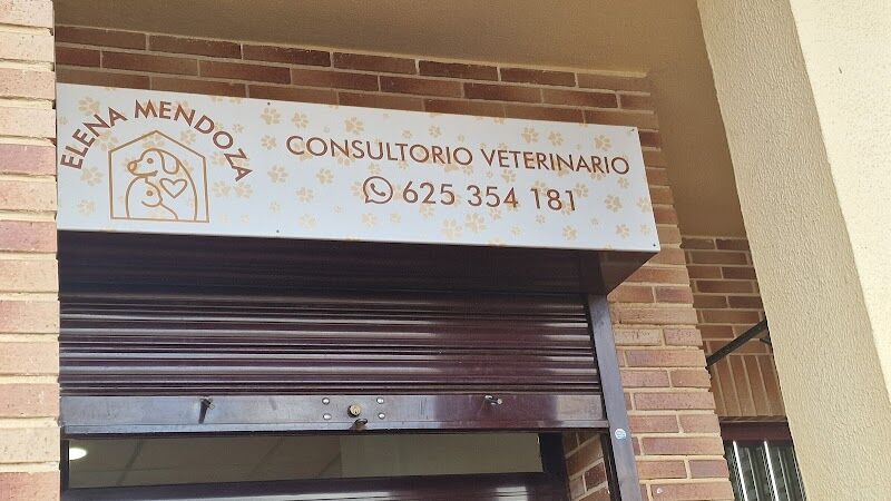 Imagen de negocio en Veterinaria en Villafranca de los Caballeros