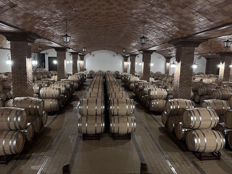 Imagen de negocio en Bodega en Provincia de Cuenca
