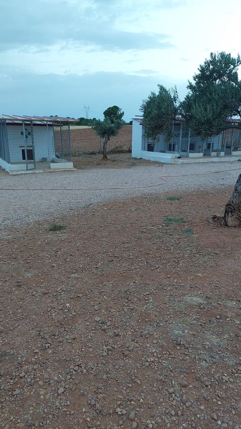 Imagen de negocio en Guardería para mascotas en Provincia de Cuenca