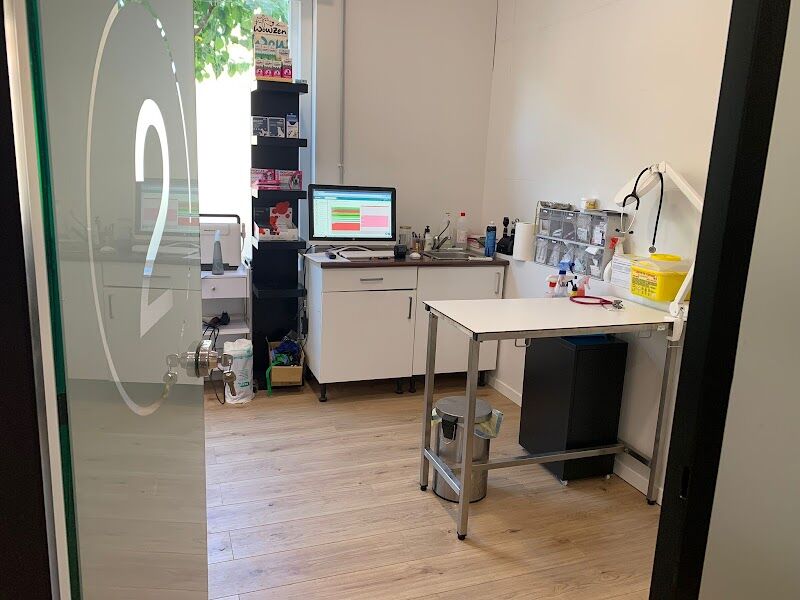 Imagen de negocio en Higiene dental para mascotas en Provincia de Madrid