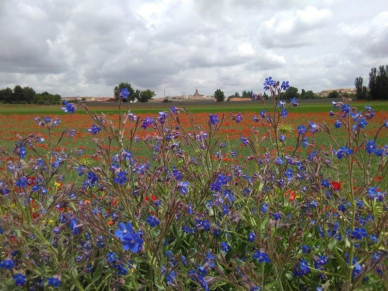 Imagen de Fernando Campanero Materiales de Construcción