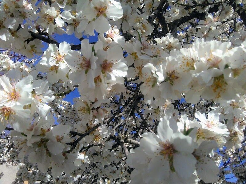 Imagen de Fernando Campanero Materiales de Construcción