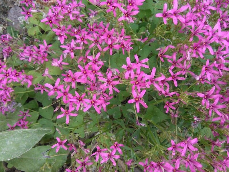 Imagen de Fernando Campanero Materiales de Construcción