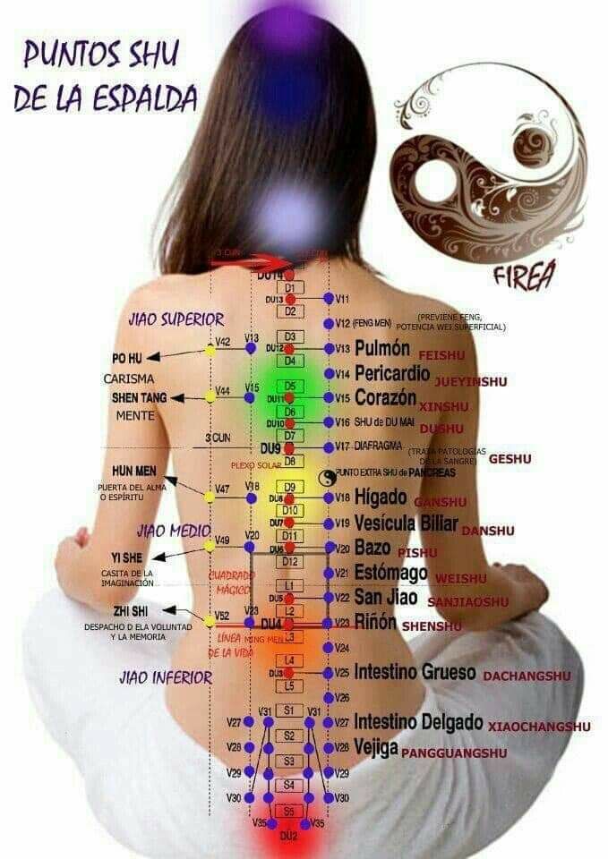 Imagen de negocio en Osteopatía y quiropráctica en Provincia de Albacete