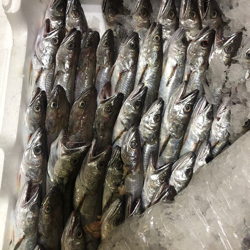 Imagen de Pescados y Mariscos Francisco Vázquez E Hijos S.l.